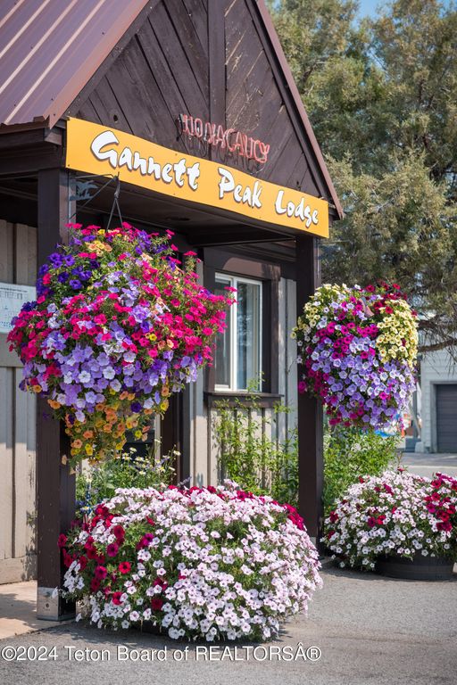 46 N SUBLETTE Avenue, Pinedale, WY 82941 photo 5