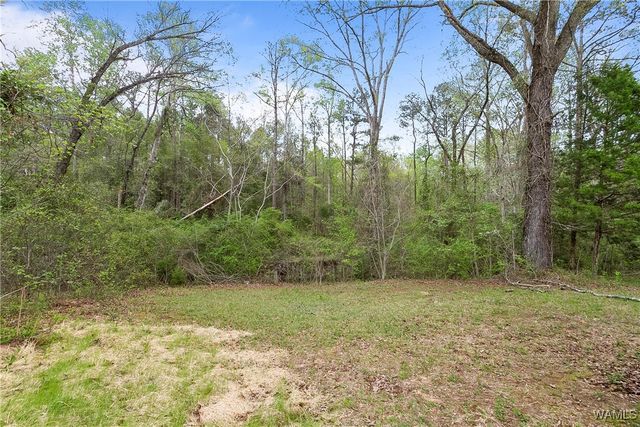 10859 Reece, Elrod, AL 35458