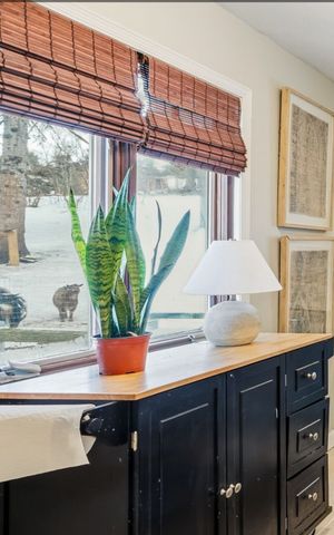 5210 Mount Carmel Road, Carver, MN 55315