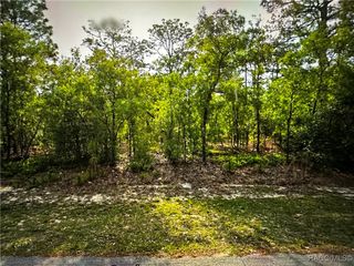 5105 N Princewood Drive, Beverly Hills, FL 34465
