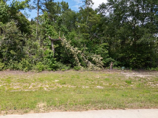 7307 Barret Street, Montgomery, TX 77316