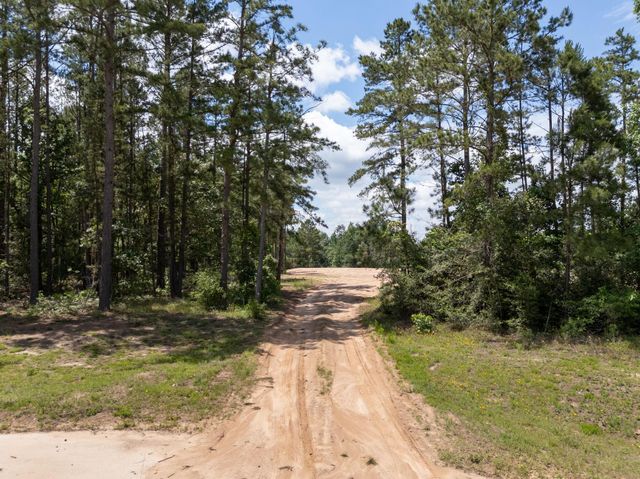 7307 Barret Street, Montgomery, TX 77316