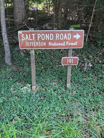 8319 Salt Pond RD, Troutville, VA 24175