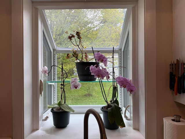 13 Brierbrook Lane, Springfield, VT 05156