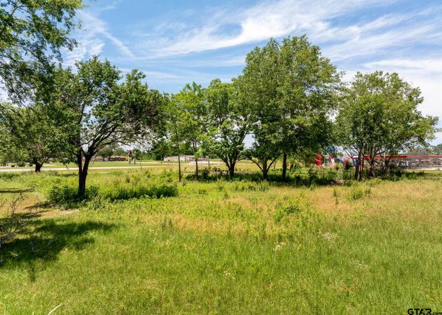 204 N Doctor M Roper Pkwy, Bullard, TX 75757