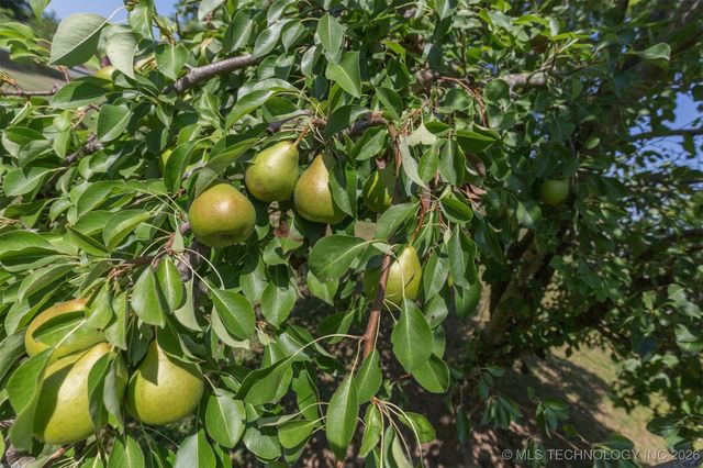 210 E Redwood Street, Coweta, OK 74429