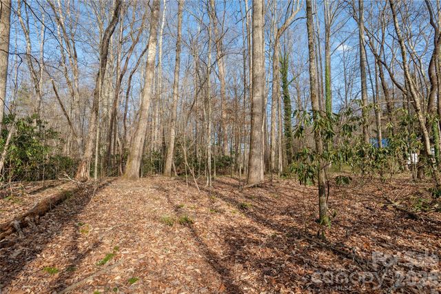 TBD Starlight Circle, Brevard, NC 28712