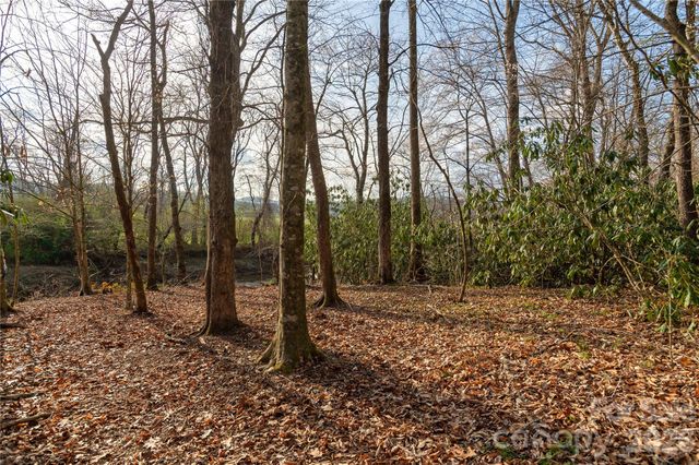 TBD Starlight Circle, Brevard, NC 28712