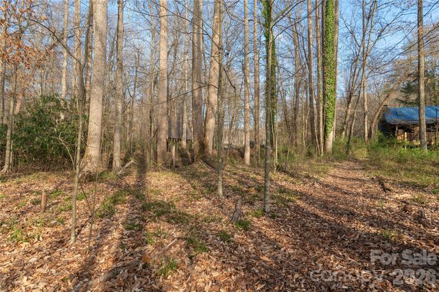 TBD Starlight Circle, Brevard, NC 28712
