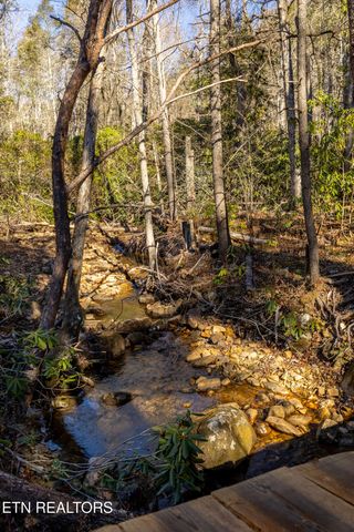 560 Bullet Creek Rd, Reliance, TN 37369