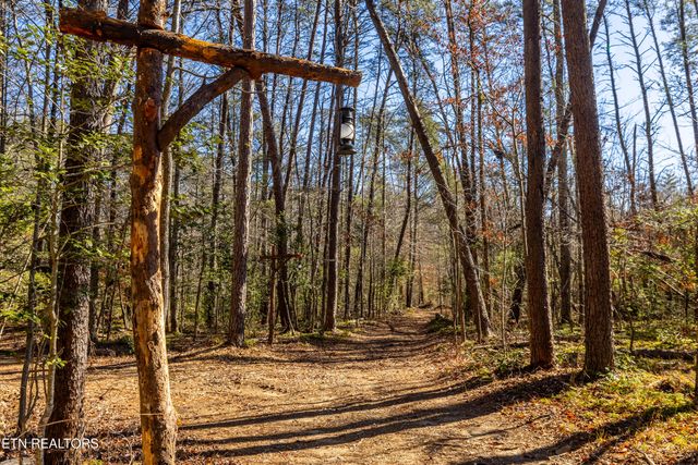 560 Bullet Creek Rd, Reliance, TN 37369