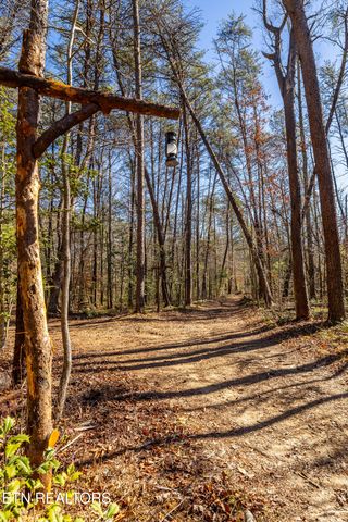 560 Bullet Creek Rd, Reliance, TN 37369