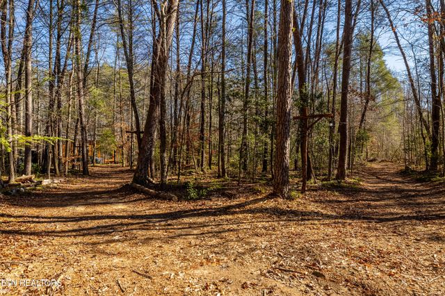 560 Bullet Creek Rd, Reliance, TN 37369