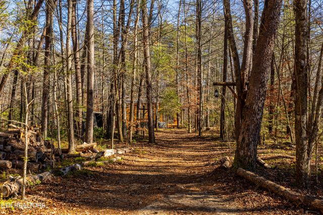 560 Bullet Creek Rd, Reliance, TN 37369