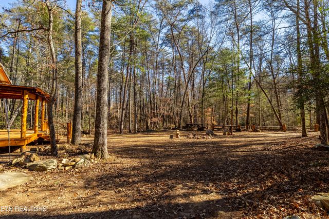 560 Bullet Creek Rd, Reliance, TN 37369