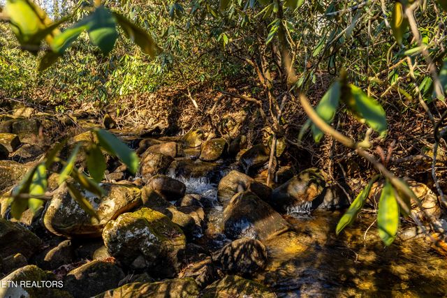 560 Bullet Creek Rd, Reliance, TN 37369