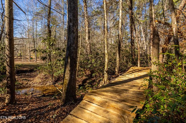 560 Bullet Creek Rd, Reliance, TN 37369