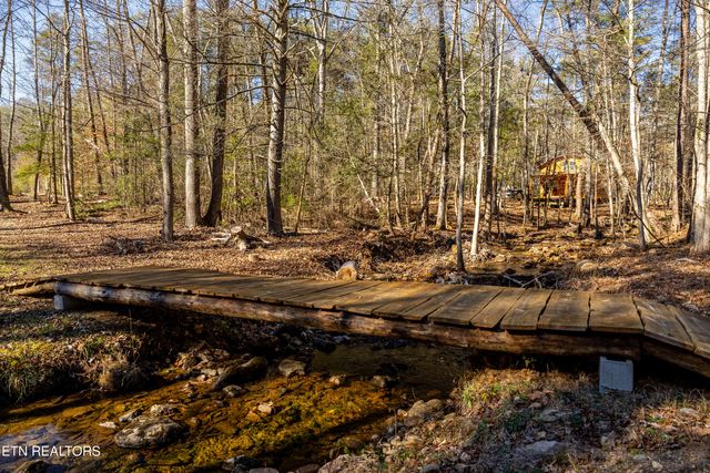 560 Bullet Creek Rd, Reliance, TN 37369