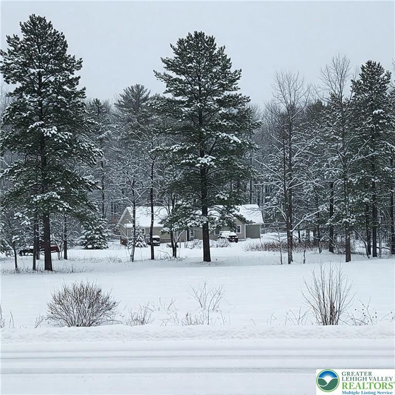 221 Williams Lane, Tobyhanna Twp, PA 18355