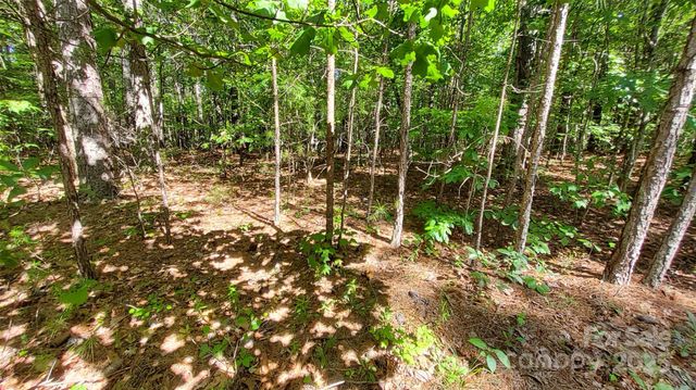 0000 Loblolly Lane 24/23/22, Mill Spring, NC 28756