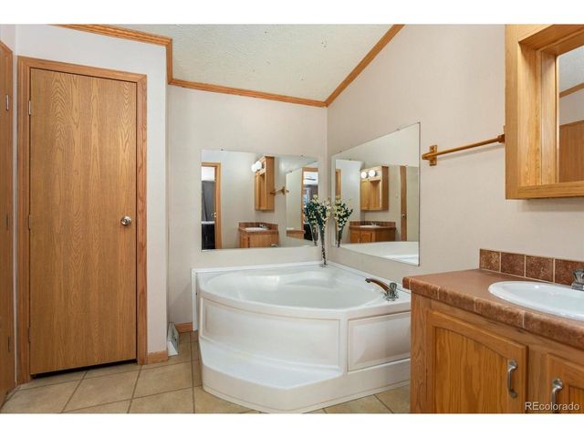 26388 Bassam Cir, Buena Vista, CO 81211