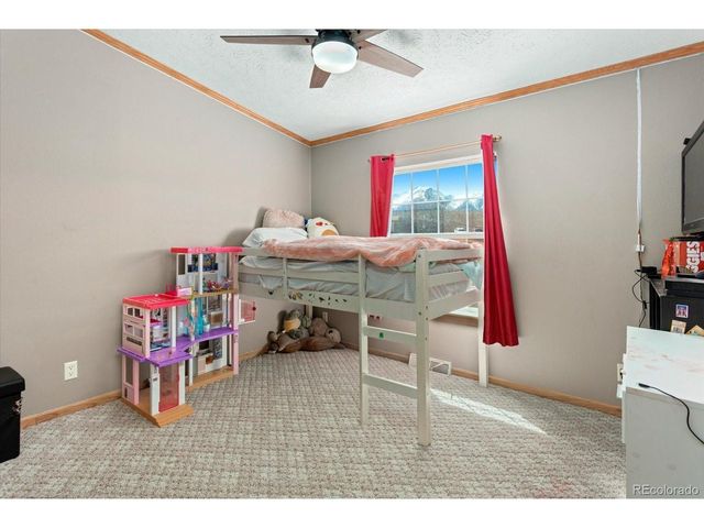 26388 Bassam Cir, Buena Vista, CO 81211