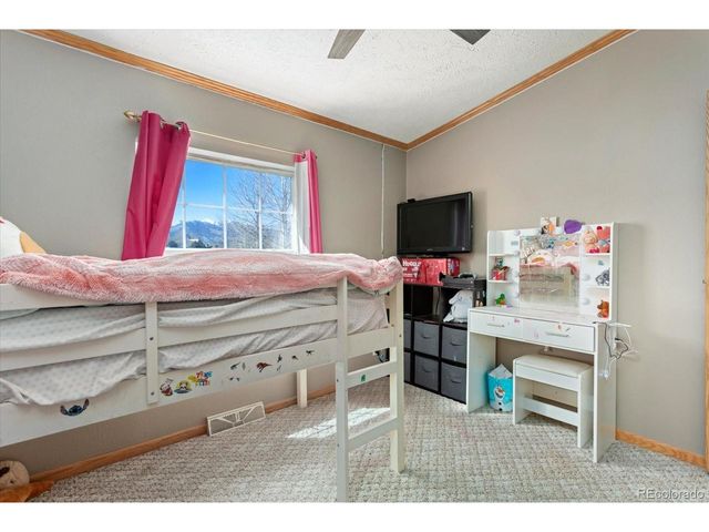 26388 Bassam Cir, Buena Vista, CO 81211