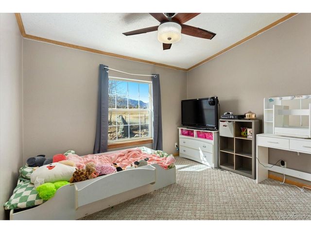 26388 Bassam Cir, Buena Vista, CO 81211