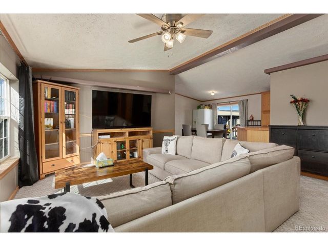26388 Bassam Cir, Buena Vista, CO 81211
