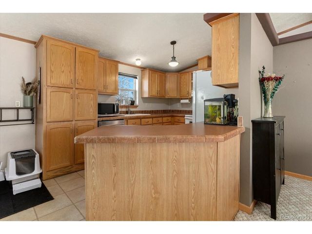 26388 Bassam Cir, Buena Vista, CO 81211
