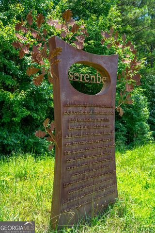 304 Mado Lane, Chattahoochee Hills, GA 30268