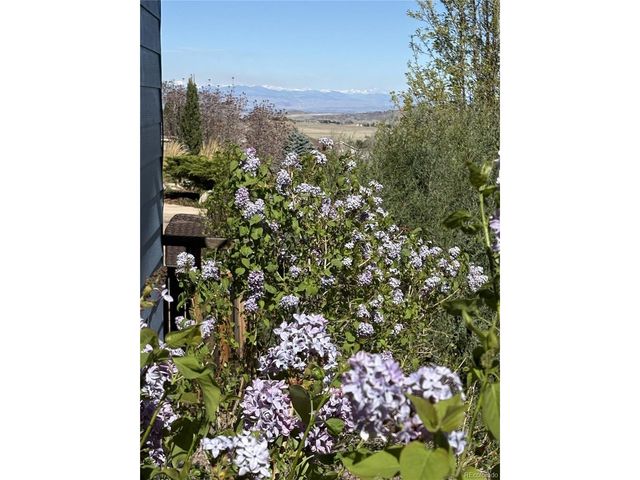 2372 Woodhouse Ln, Castle Rock, CO 80109