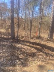 lot 3 County Road 642, Cedar Bluff, AL 35959