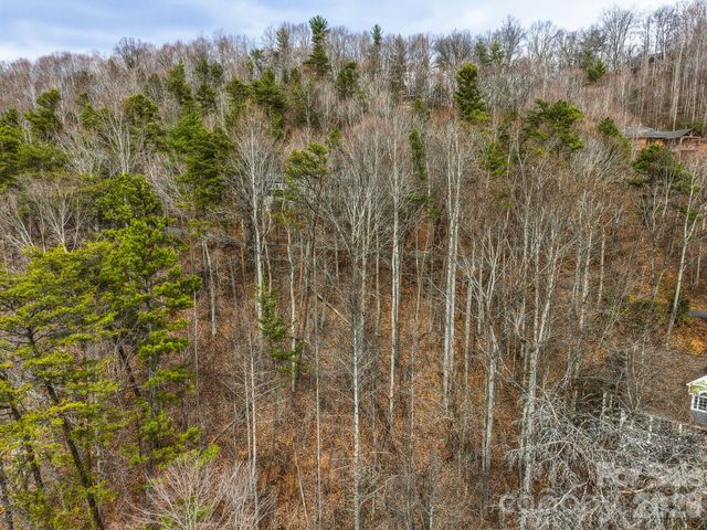 99999 Hawk View Drive 7, Asheville, NC 28804