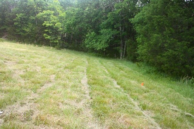 4793 Joe Peay Rd, Spring Hill, TN 37174