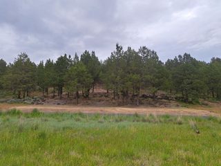 0 Parula Drive 1151, Klamath Falls, OR 97601