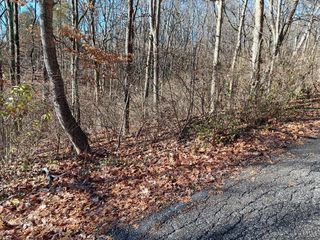 0 Alpine Terrace, Pierce Twp, OH 45157