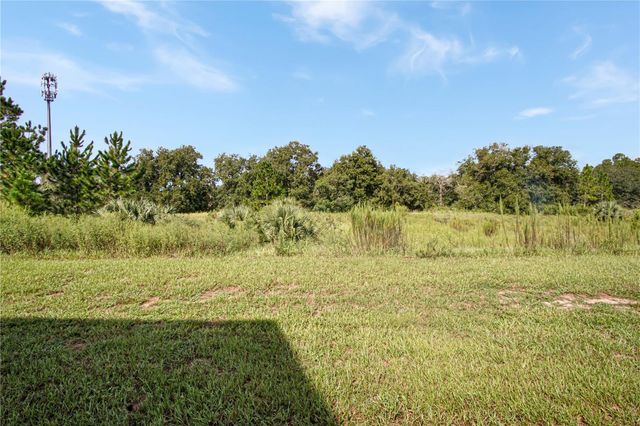 154 ORCHID DRIVE, Davenport, FL 33897