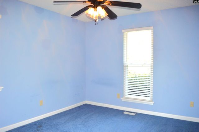 1226 Sayre Lane, Elgin, SC 29045