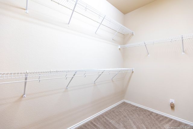 3742 OX-EYE DAISY, San Antonio, TX 78261