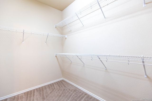 3742 OX-EYE DAISY, San Antonio, TX 78261