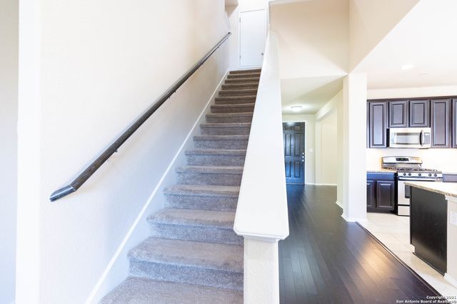 3742 OX-EYE DAISY, San Antonio, TX 78261
