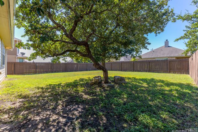 3742 OX-EYE DAISY, San Antonio, TX 78261
