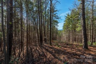 1683 Pisgah Preserve Drive, Nebo, NC 28761