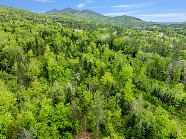 Lot 5 Off US Route 3, Columbia, NH 03576