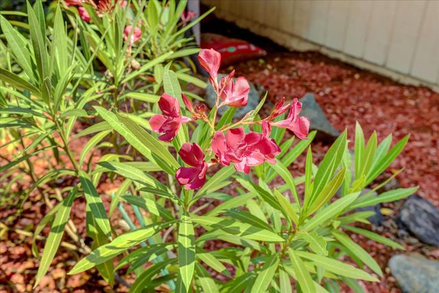 12039 Lakeshore North, Auburn, CA 95602