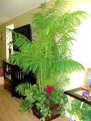 91-1059 Opaehuna Street, Ewa Beach, HI 96706