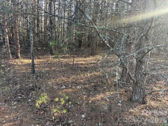 TBD Southern Way, Nebo, NC 28761