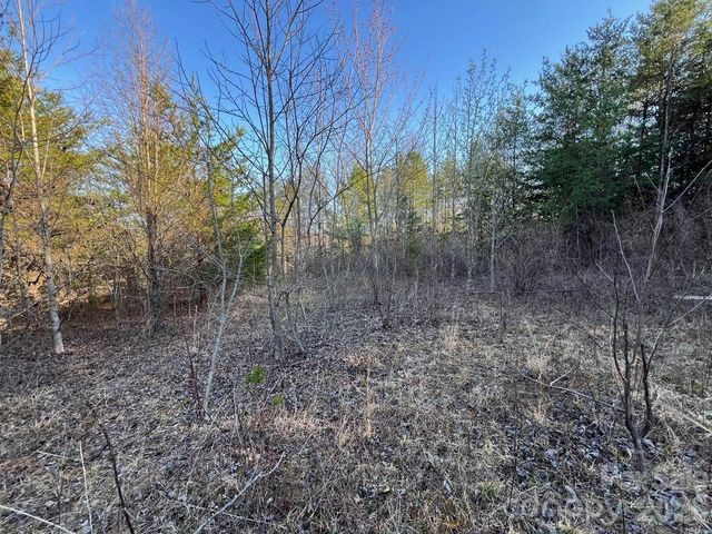 TBD Southern Way, Nebo, NC 28761
