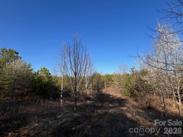 TBD Southern Way, Nebo, NC 28761